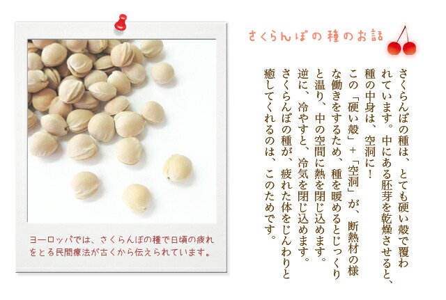 さくらんぼ　種枕　山形県産　効能