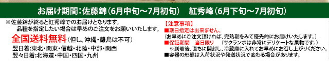 丸勘 さくらんぼ 佐藤錦 紅秀峰