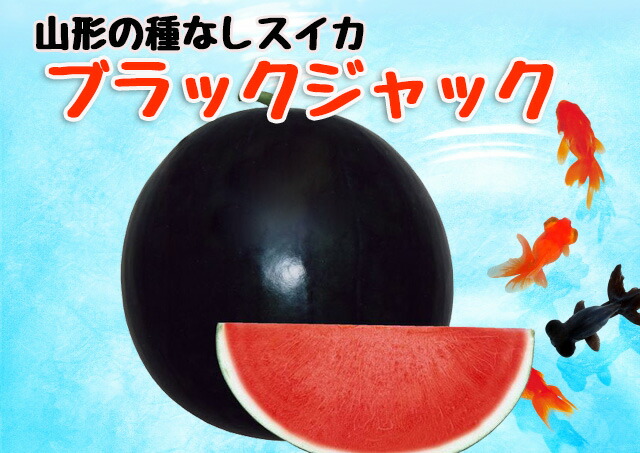 種なしスイカ(スイカ ブラックジャック)