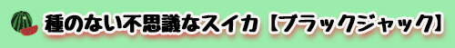 種のない不思議なブラックジャックスイカ