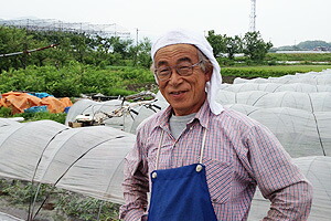 山形県村山市 袖崎のスイカ ブラックジャック、種なしスイカネット通販花屋 花樹有(かじゅある)