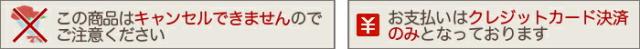 当日配達　送料無料で全国発送　ネット通販花屋　花樹有（かじゅある）山形の花屋