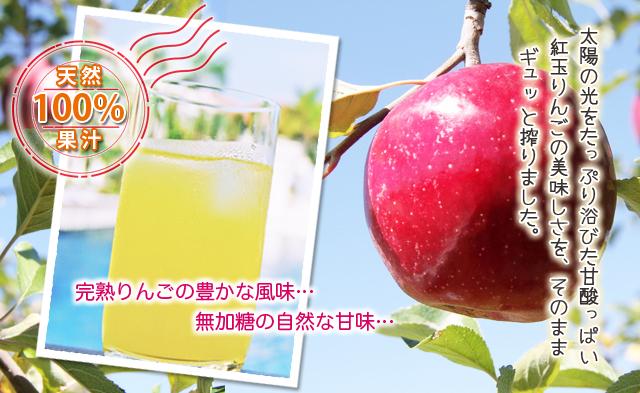 紅玉リンゴジュース　100%果汁