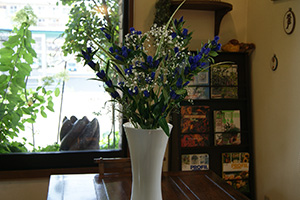 リンドウ　飾る