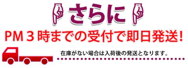 即日発送不可。最短で翌日発送もしくは在庫が無い場合は入荷後の発送となります。