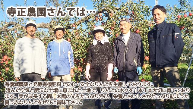 山形県 寺正農園 りんご