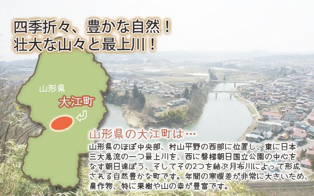 山ぶどう原液　山形県　大江町