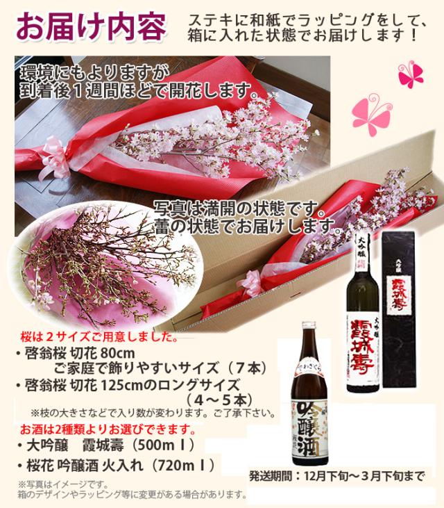 啓翁桜と山形の地酒　出羽

桜720mlとのセット　お歳暮、御年始、成人のお祝い、歓送迎会のフラワーギフトに