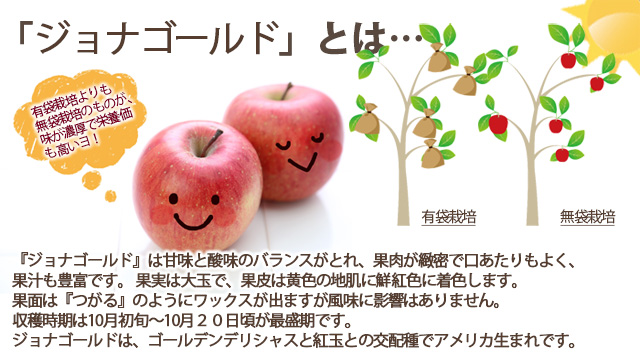 和合平りんご　葉取らずリンゴ