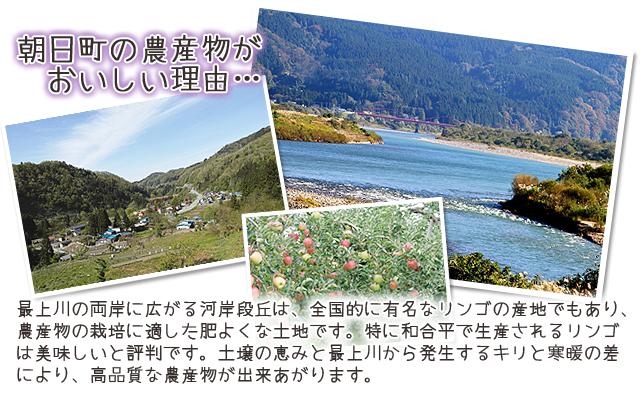 和合平りんご　山形県朝日町