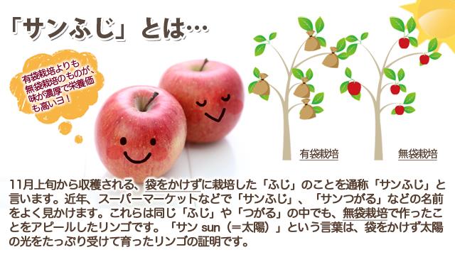 山形県産 サンふじ 無袋栽培