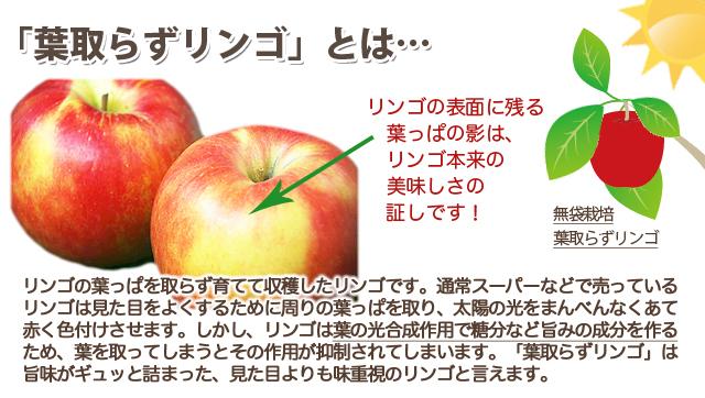 和合平りんご 葉取らずリンゴ