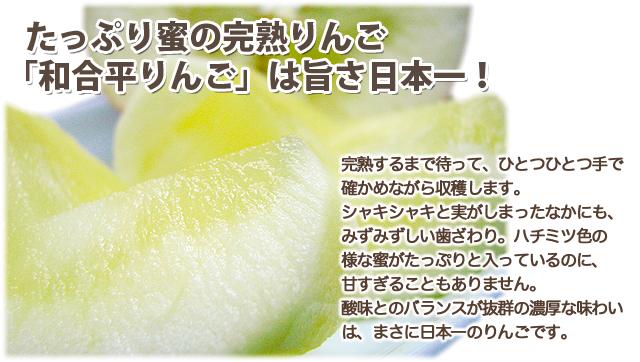 和合平りんご　完熟　蜜入り　ジョナゴールドリンゴ