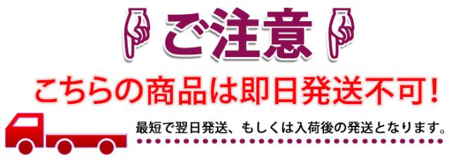 即日発送不可。最短で翌日発送もしくは在庫が無い場合は入荷後の発送となります。