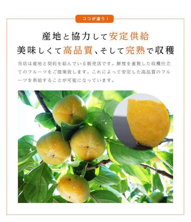 おけさ柿