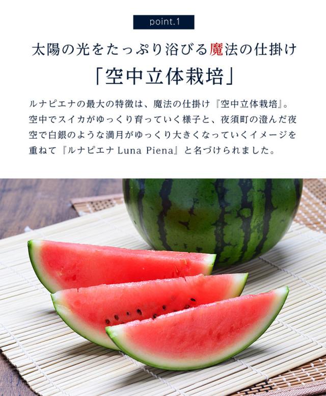 ルナピエナ