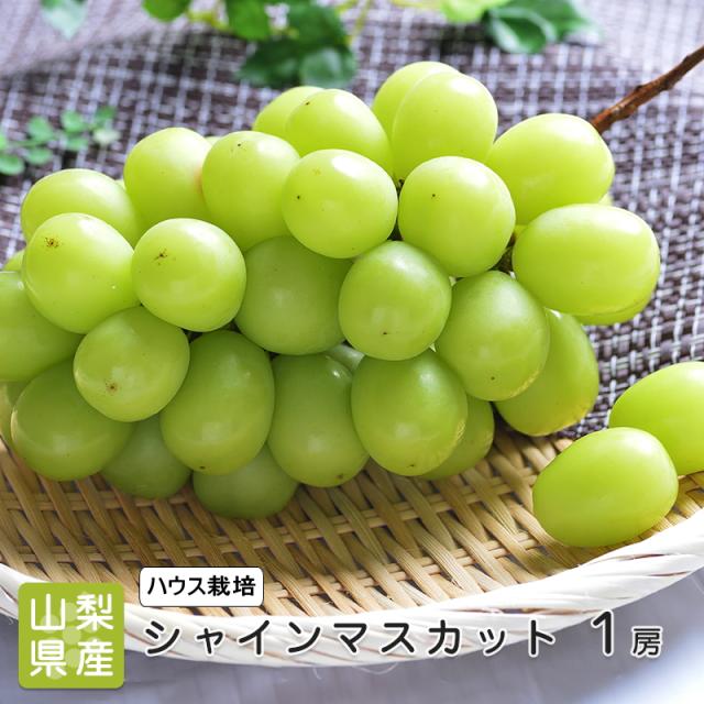 シャインマスカット