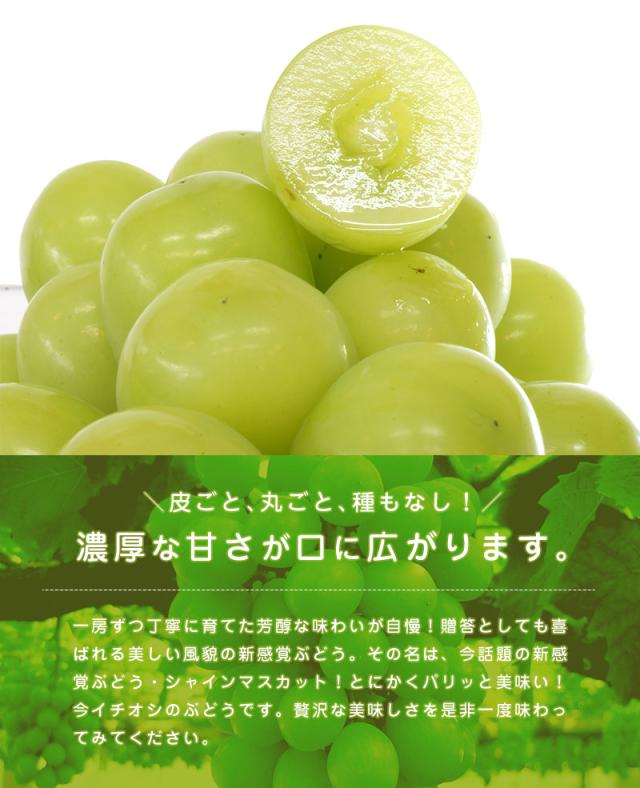 シャインマスカット