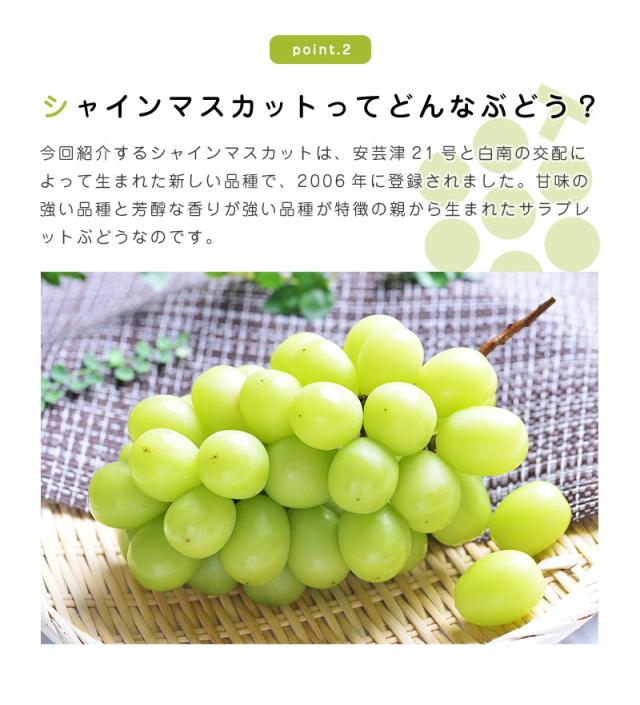 シャインマスカット