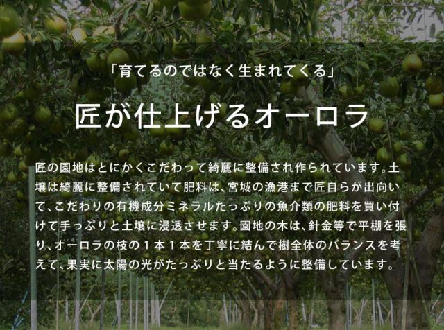 オーロラ