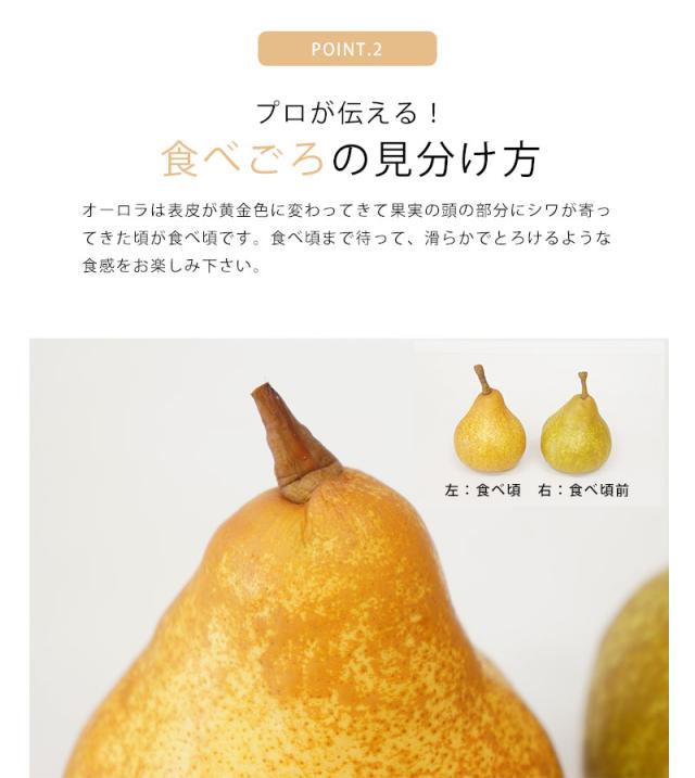 オーロラ