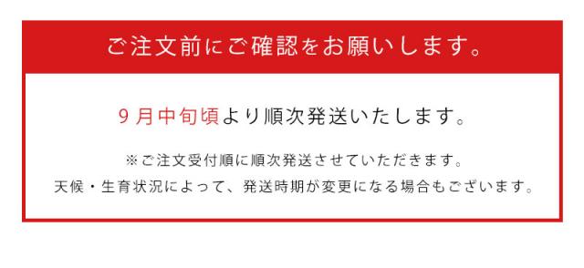 オーロラ