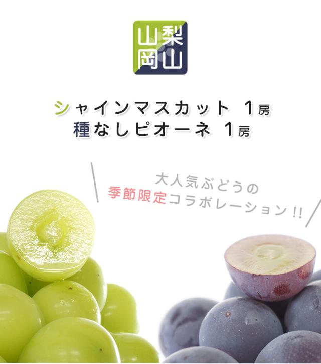最安値に挑戦 食べ比べセット 山梨 長野 岡山県産 シャインマスカット 種なしピオーネ 2房 約1 1 1 2kg ぶどう ブドウ シャインマスカット 皮ごと 50 Off Www Iacymperu Org