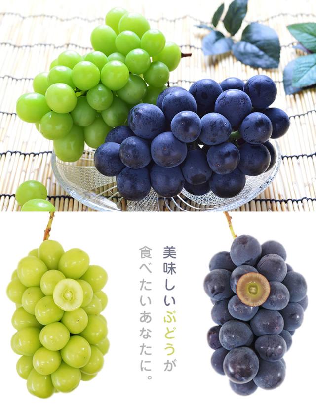 最安値に挑戦 食べ比べセット 山梨 長野 岡山県産 シャインマスカット 種なしピオーネ 2房 約1 1 1 2kg ぶどう ブドウ シャインマスカット 皮ごと 50 Off Www Iacymperu Org