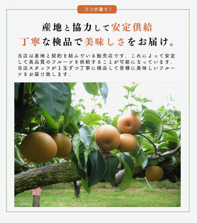 赤梨