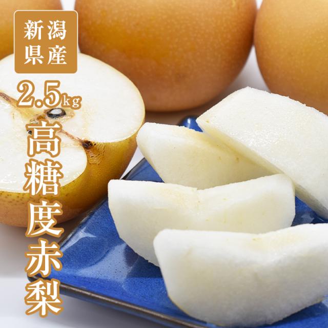 新甘泉