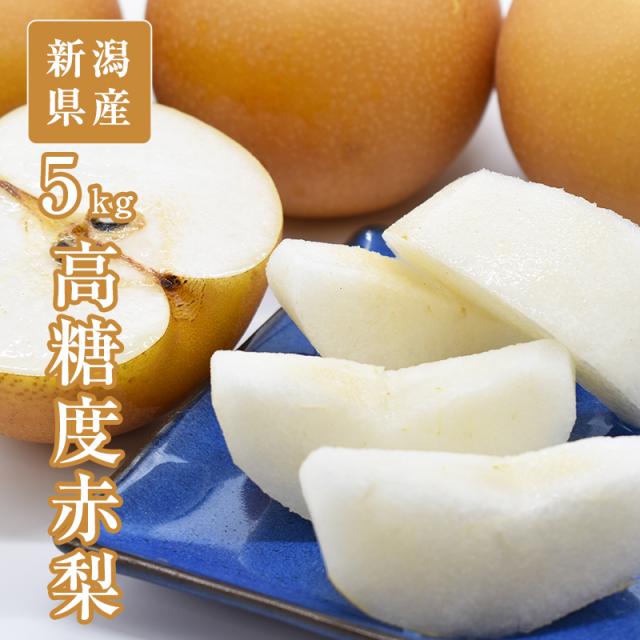 新甘泉