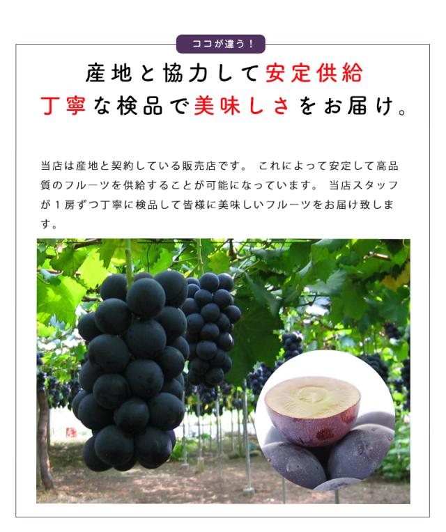 ピオーネ