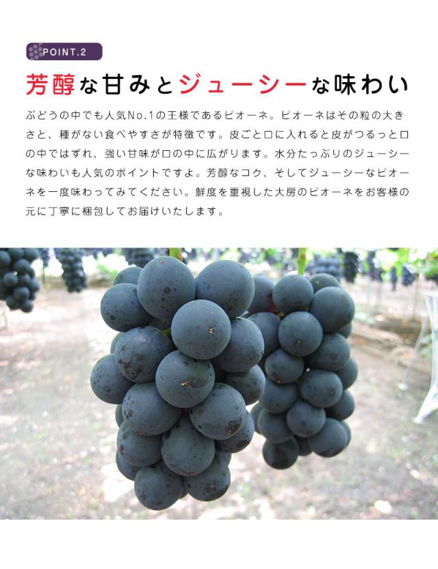ピオーネ