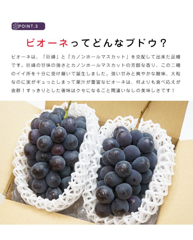 ピオーネ