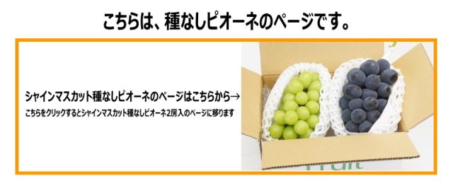 ピオーネ