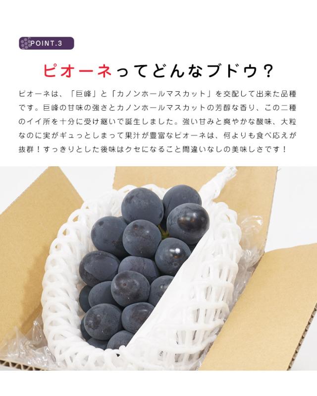 ピオーネ