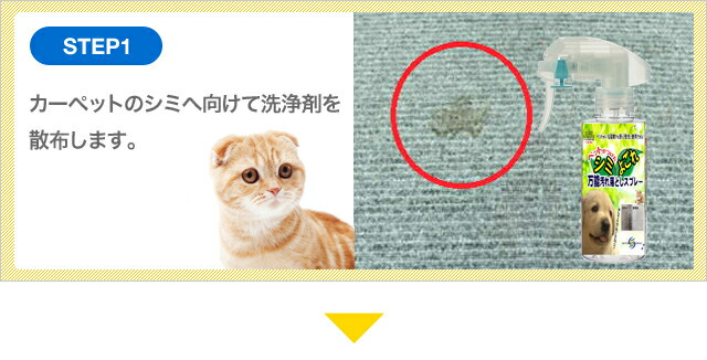 洗剤 クリーナー 業務用