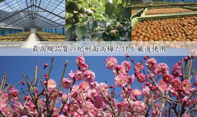 千利休のおもてなしの心と、本場「紀州南高梅」を使った唯一無二の商品。