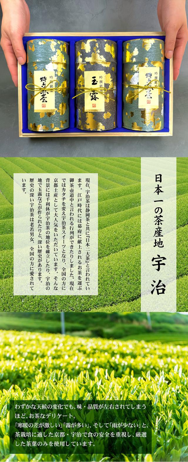お茶ギフト 高級 寛永3年 京都利休園 公式 お茶 特上煎茶・高級玉露詰合せ 特上煎茶120g2本 高級玉露120g お歳暮 母の日 父の日 お中元 贈り物 贈答品 プレゼント お茶ギフト 国産 茶葉 メーカー直送 SEN-S-1503