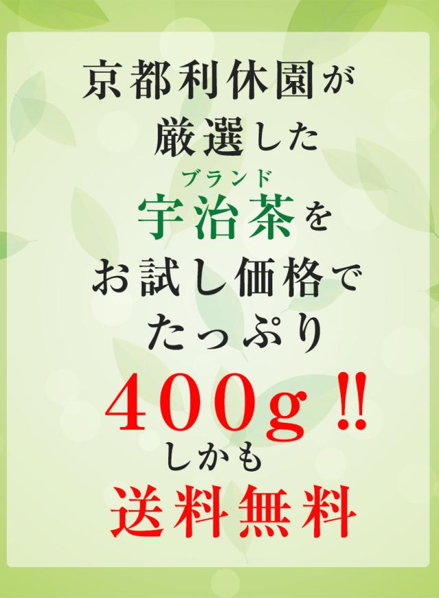茶葉 お茶 お試し 宇治茶 送料無料 寛永3年 京都利休園 公式 お徳用 大容量 400g 100g×4袋 緑茶 日本茶 メーカー直送 uji-1004