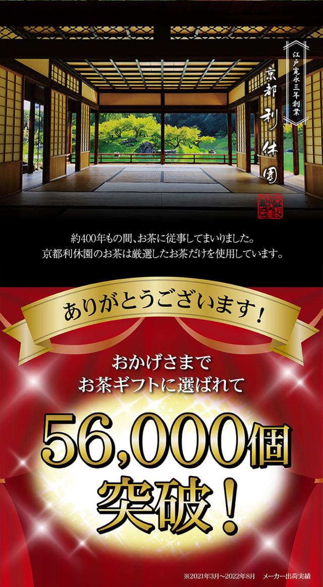 ティーバッグ お茶 お試し 宇治茶 送料無料 寛永3年 京都利休園 公式 お徳用 大容量 90g 3g×30包 緑茶 日本茶 メーカー直送 uji-tb90