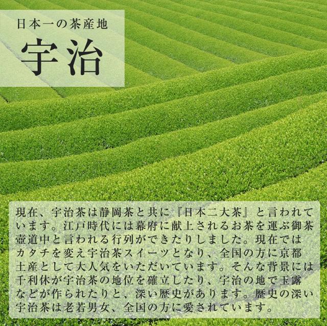 ティーバッグ お茶 お試し 宇治茶 送料無料 寛永3年 京都利休園 公式 お徳用 大容量 90g 3g×30包 緑茶 日本茶 メーカー直送 uji-tb90