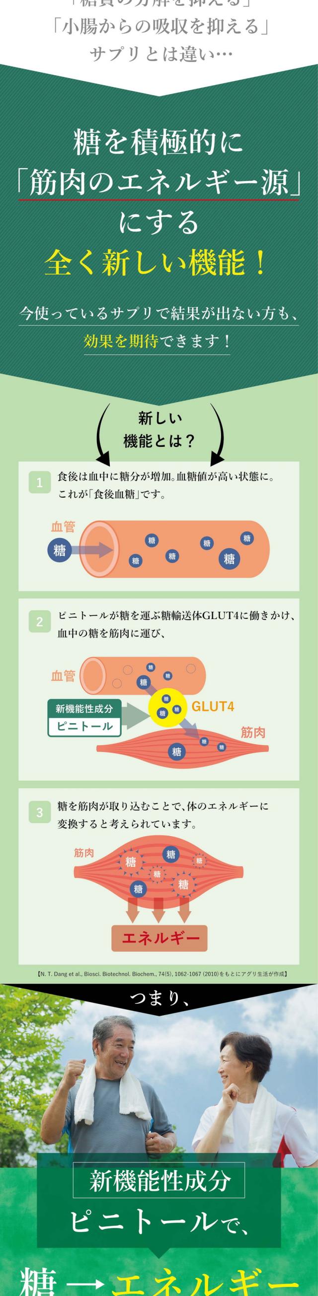 これまでの糖質の分解を抑える・小腸からの吸収を抑えるサプリとは違い糖を積極的に筋肉のエネルギー源にする全く新しい機能/今使っているサプリで効果が出ない方も効果を期待できます/1.食後は血中に糖分が増加し血糖値が高い状態に/2.ピニトールが糖を運ぶ糖輸送体GLUT4に働きかけ血中の糖を筋肉に運び/3.糖を筋肉が取り込むことで体のエネルギーに変換すると考えられています