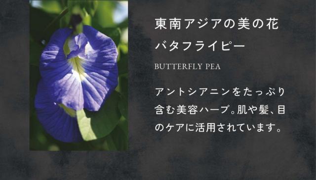 カラダにうれしい植物で色付け/東南アジアの美の花バタフライピー/アントシアニンをたっぷり含む美容ハーブ。肌や髪、目のケアに活用されています。