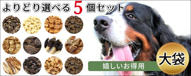 おやつ 犬 無添加 国産 お得用 大袋 選べる 5個セット