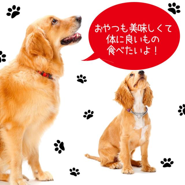 おやつ 犬用 無添加 国産 ドッグフード プレミアム お徳用 パック 3個 セット ギフト 低脂肪 まぐろ 鮭 鹿 馬 ささみ ジャーキー キューブ チーズ9