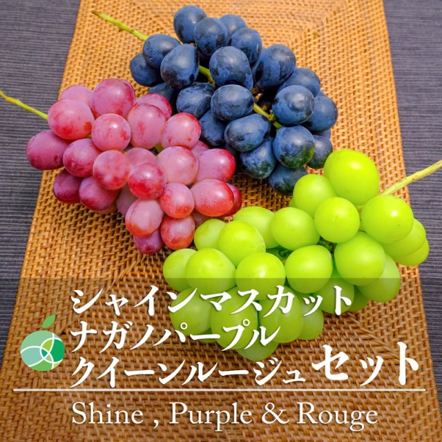 訳あり】 長野県産 ナガノパープル クイーンルージュ 詰合せ 【クール