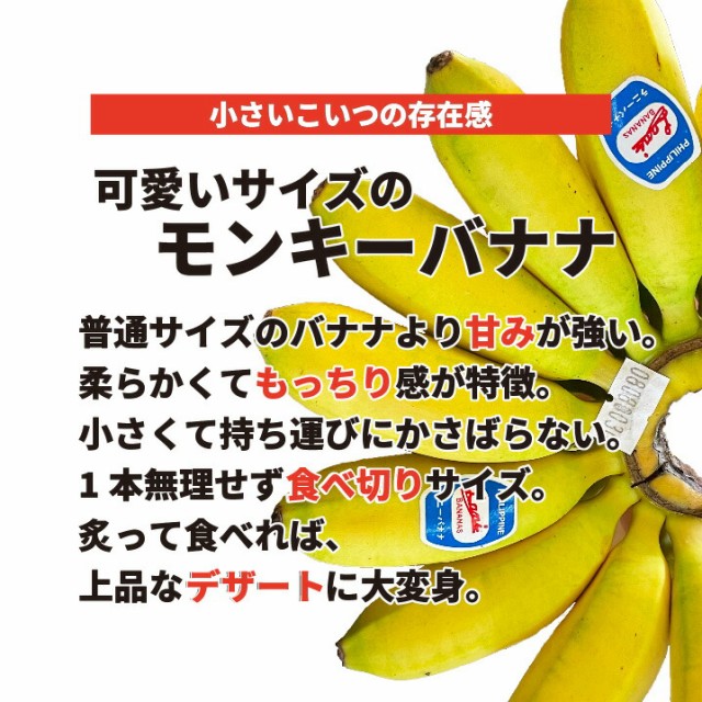 【フィリピン産】モンキーバナナ 6ｋｇ 枝付き 箱売り 送料無料 