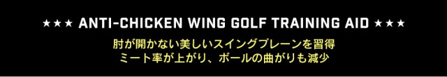 ゴルフ練習器