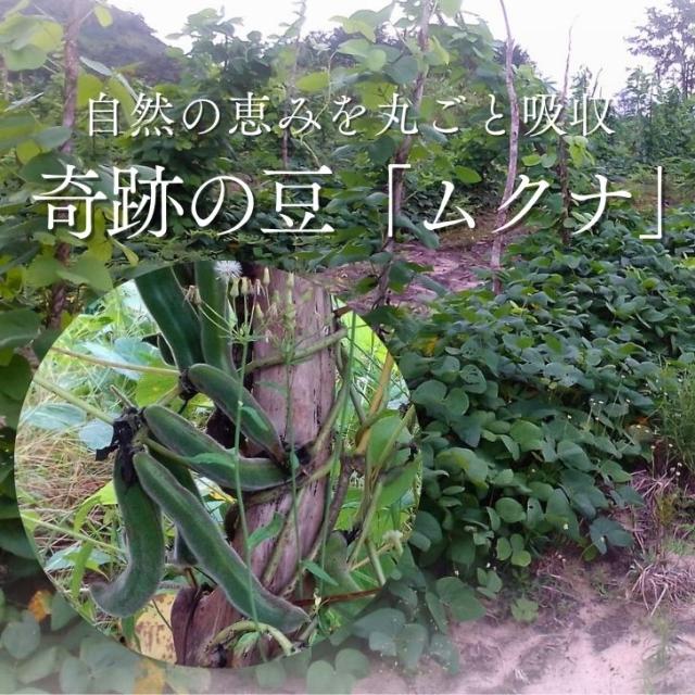 商品画像7